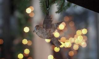 Kveldsåpent på Ørje