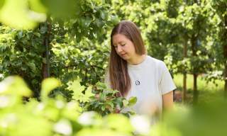 Ølmheim Siderhage