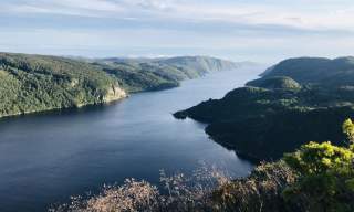 Dyreknuten og rundtur i Sandsheia