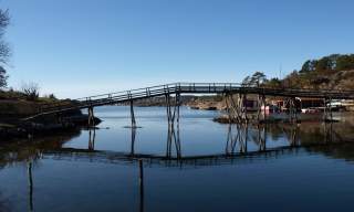 Marivold turområde