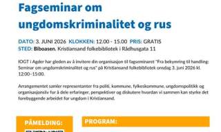 Fra bekymring til handling: Fagseminar om ungdomskriminalitet og rus
