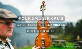 Folkemusikkpub