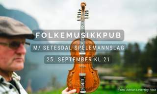 Folkemusikkpub