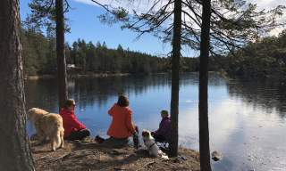 Fjella turområde