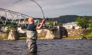 Laksefiske i Kvina