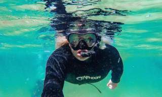 Snorklesafari