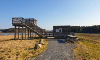Fuglekikking: Dilleviktårnet
