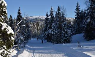 Langlauf in Evje und Hornnes
