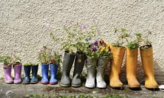 HALDEN HAGELAG - Årsmøte