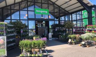 Hageland Grimstad