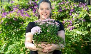 Slik lykkes du med planter i krukker