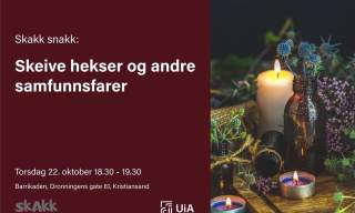 Skeive hekser og andre samfunnsfarer