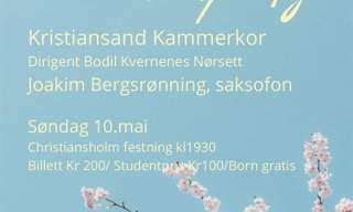Nasjonalromantisk Vårklang