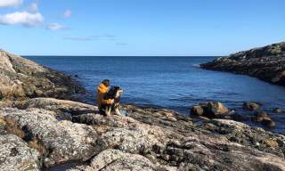 Hoveneset i Homborsund
