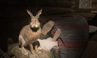 Eggjakt på Kanalmuseet