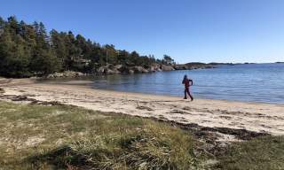 Grefstadviga og Stangholmen