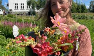 Selvplukk hos Åkerblomsten