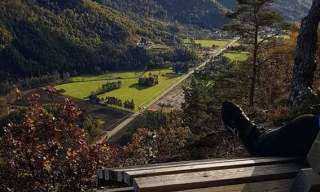 Neseknipen