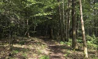 Kvåsrunden