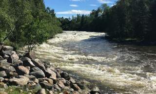 Salmon fishing in the Ågård river