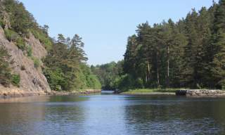 Fra Bjorøya til Reddalsbygda i fortid og nåtid med Ove Bach