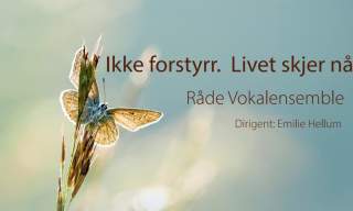 Ikke forstyrr. Livet skjer nå!