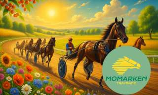 Lunsjtrav på Momarken – mandag 14. juli ☀️