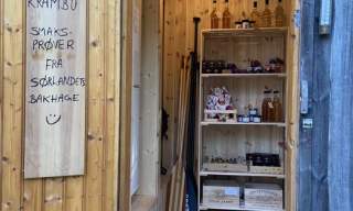 Camp Flakksvann