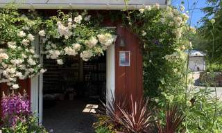Lundbergs Planteskole