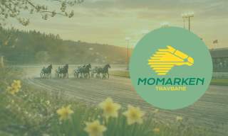 Lunsjtrav på Momarken