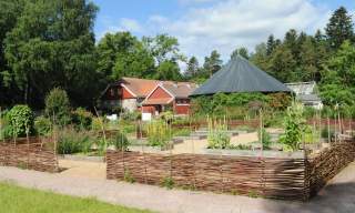 Omvisning om kloster- og ballastplanter
