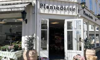 Plantedottir