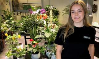 Planteinteriør Fokussenteret