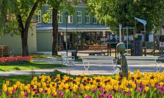 Sommer på Fayegården