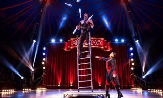 Cirkus Merano