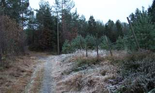 Lysløype på Rykene