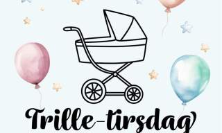 Trille-tirsdag på Oddensenteret