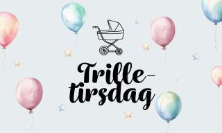 Trille-tirsdag på Oddensenteret