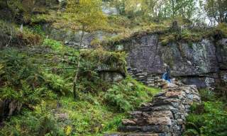 Sherpastien i Lyngdal