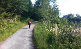 Barnevandrerstien Kristiansand - Birkeland