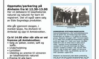 Amteknottens dag