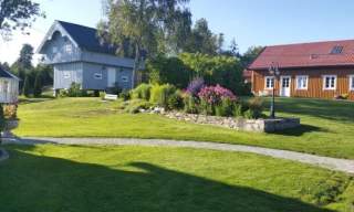Alpakkagaarden Østre Kjærnes