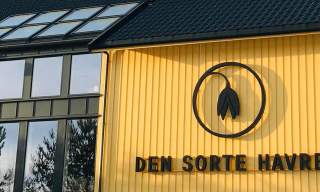 Den sorte havre