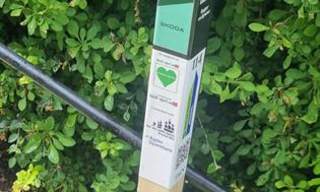 Stolpejakten Arendal