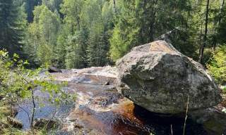 Vandretur: Flyktningerute, Timianruta