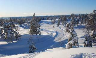 Toplandsheia friluftsområde