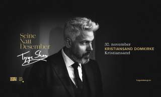 Trygve Skaug - Seine Natt Desember