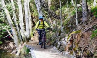 Arendal Singletrack - Tungvekteren