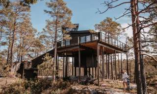 Furukrona, Iveland Tree Top Panorama
