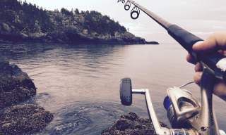 Utleie av fiskestang
